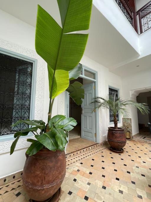 Riad Vivre - Design Boutique Riad In Marrakech Μαρακές Εξωτερικό φωτογραφία